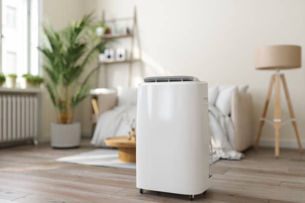 Best Affordable HVAC services  in Lino Lakes, MN